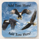 Recherche de tête dessous de verres Aigle chauve