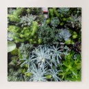 Recherche de plants puzzles Succulents