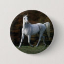 Recherche de cheval arabe badges Plomb langrish