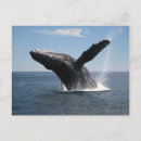 Recherche de bosse cartes postales Maritime