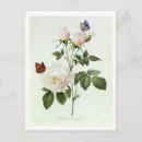 Recherche de fleurs 19ème cartes postales 20ème