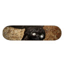 Recherche de chat skateboards Amusement