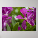 Recherche de singapour posters Pittoresque