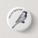 Recherche de moineau badges Nature