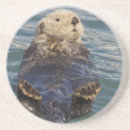 Recherche de loutre dessous de verres Alaska