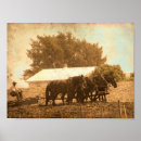 Recherche de cheval travail posters Rural