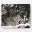 Recherche de tête loup tapis souris Faune