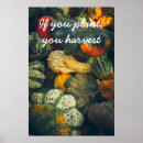 Recherche de courge posters Cuisine
