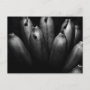 Recherche de fruit tropical cartes postales Abstrait