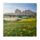 Recherche de dolomites carreaux Nature