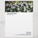 Recherche de images de tulipe Moderne