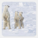 Recherche de churchill autocollants Hiver