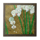 Recherche de fleurs blanches carreaux Résumé