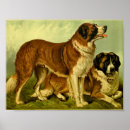 Recherche de chien de st bernard posters Vintage