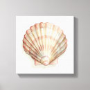Recherche de coquille de plage art Coquilles