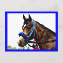 Recherche de course de chevaux cartes postales Pur sang