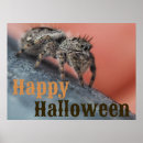 Recherche de arachnide posters Halloween