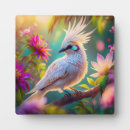 Recherche de plumes plaques Lee hiller