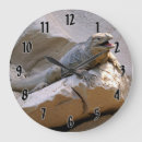 Recherche de rhinocéros horloges Faune