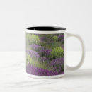 Recherche de paysage rural Fleur sauvage