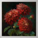 Recherche de fleurs de dahlia posters Décoration fleurie