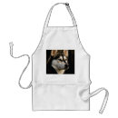 Recherche de malamute tabliers Amoureux des chiens