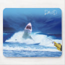 Recherche de poissons mer tapis souris Requin