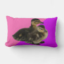 Recherche de caneton coussins Canards