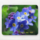 Recherche de myosotis tapis souris Fleur