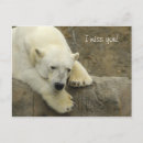 Recherche de ours polaires cartes postales Porter