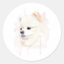 Recherche de peinture de chien autocollants Pom