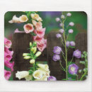 Recherche de nancy tapis souris Jardin