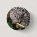 Recherche de co badges Animal