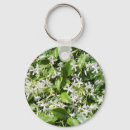 Recherche de jasmin porteclés Fleurs de jasmin