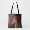 Recherche de golden retriever accessoires Animal