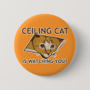 Recherche de observé badges Chat