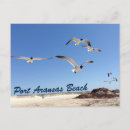 Recherche de oiseau de mer cartes postales Mouettes