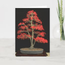 Recherche de bonsaï vœux cartes Arbre