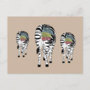 Recherche de zebre cartes postales Zoo