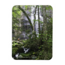 Recherche de randonneur magnets Forêt