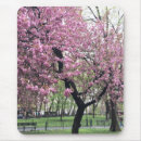 Recherche de cerise photographie tapis souris Fleurs