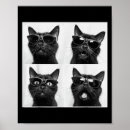 Recherche de graphiques pour posters Drôle graphique