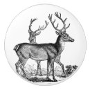 Recherche de cerfs communs boutons et poignées de porte Andouillers
