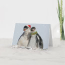 Recherche de pingouins noël cartes Oiseau