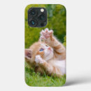 Recherche de jeune animal iphone coques Mignon