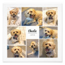 Recherche de minimaliste animal art Mignon