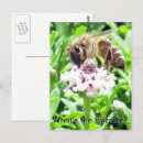 Recherche de abeille miel cartes postales Bourdon