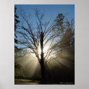 Recherche de épiphanie posters Trois