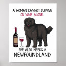 Recherche de chien terre neuve posters Dog