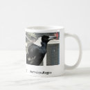 Recherche de pies tasses Faune